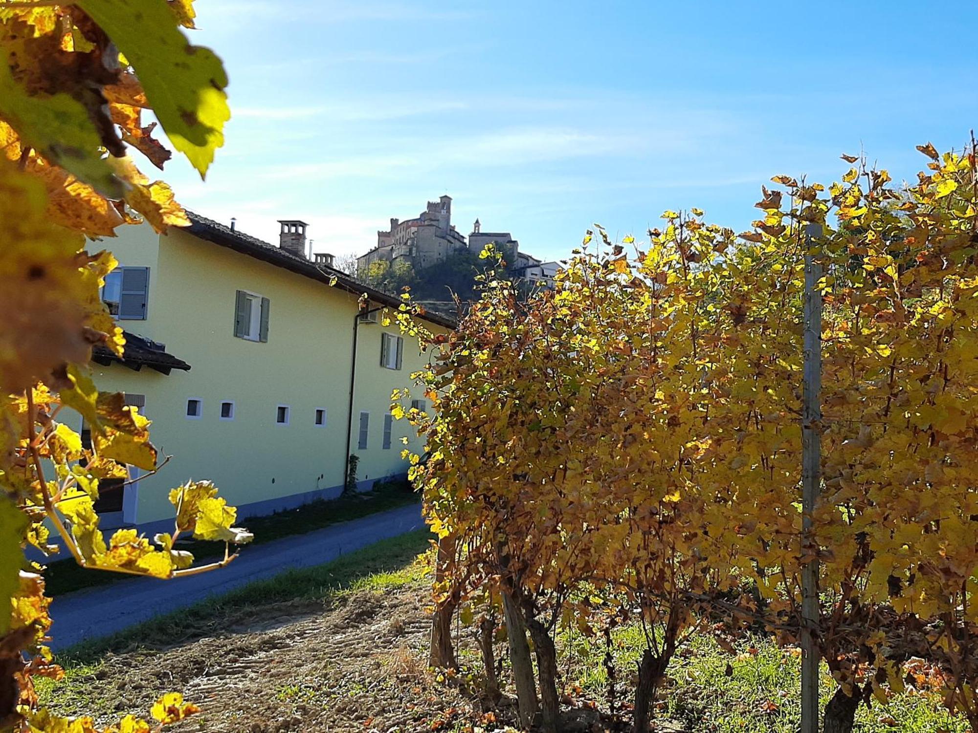 Ciabot Delle Aie - Barolo Apartment Luaran gambar