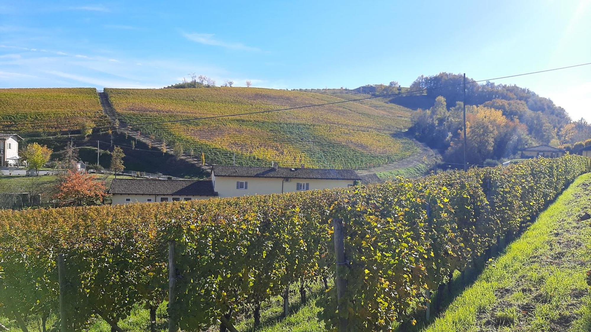 Ciabot Delle Aie - Barolo Apartment Luaran gambar